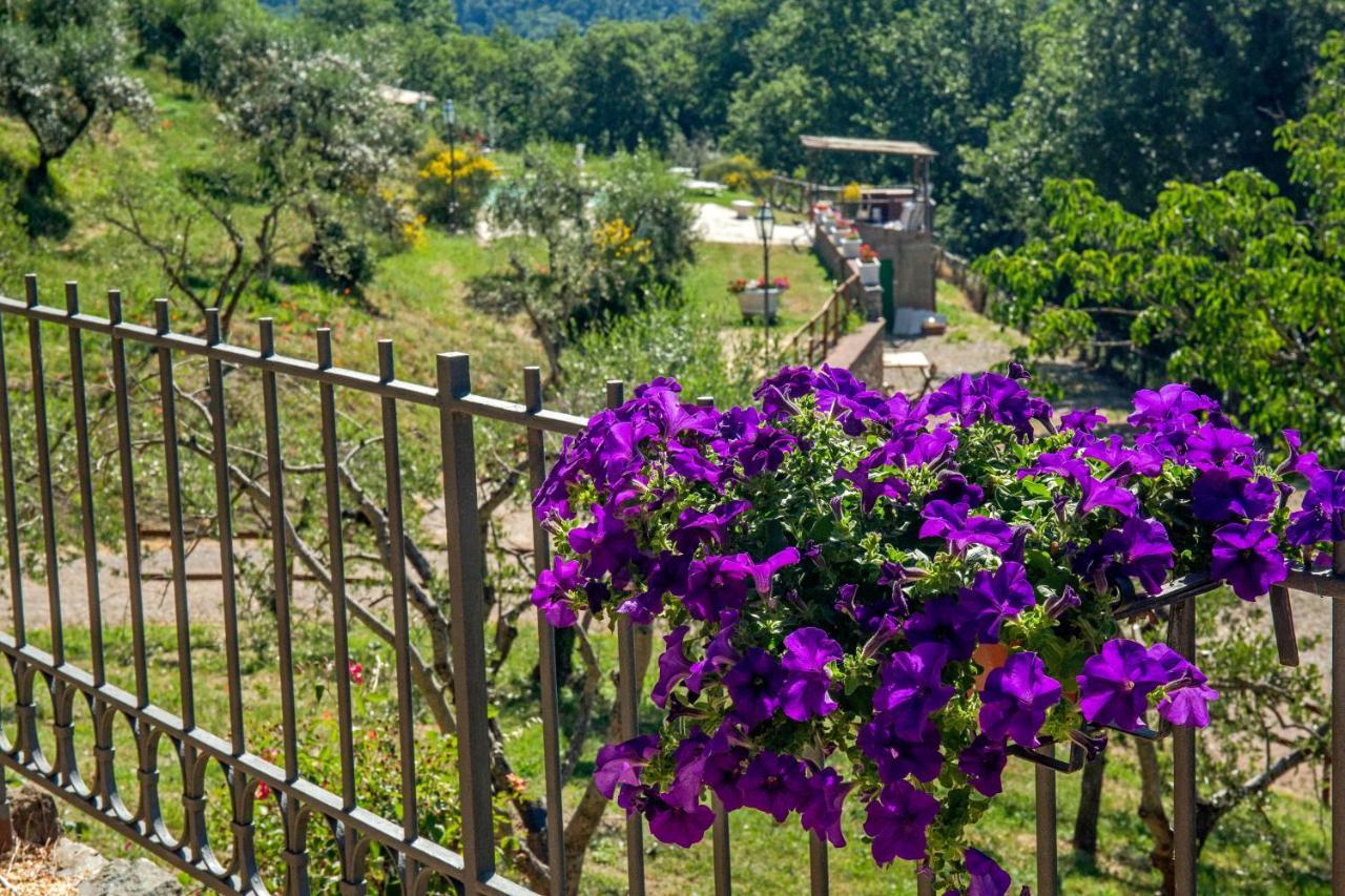 Podere Figlinelle Starda المظهر الخارجي الصورة
